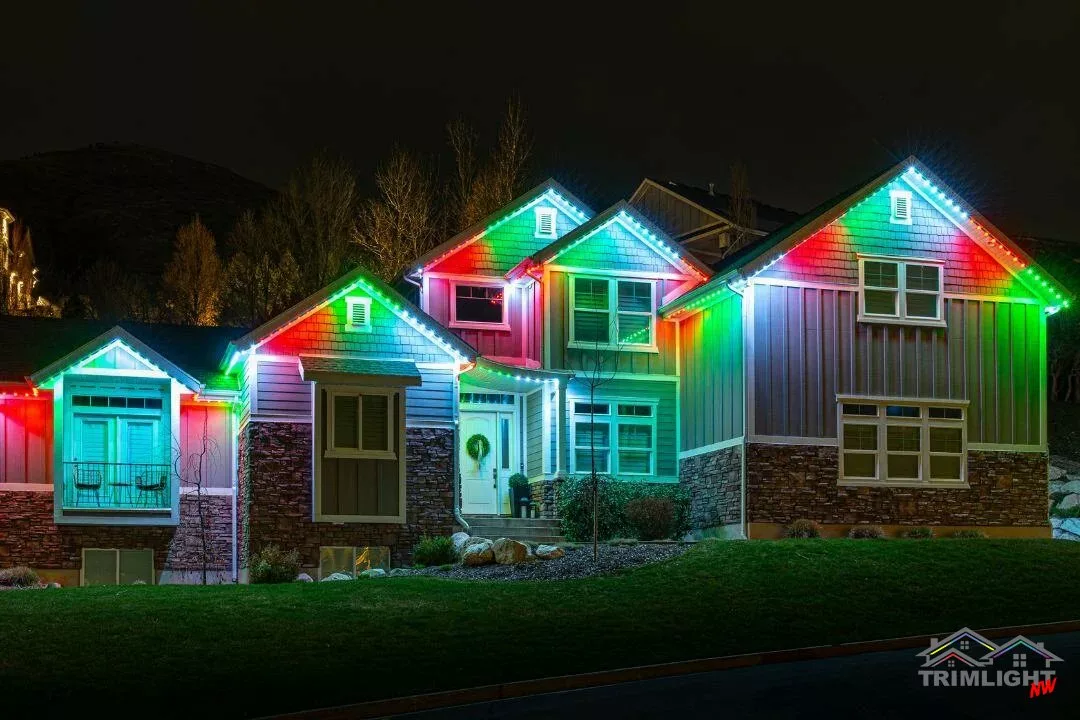 Permanent xmas led lights